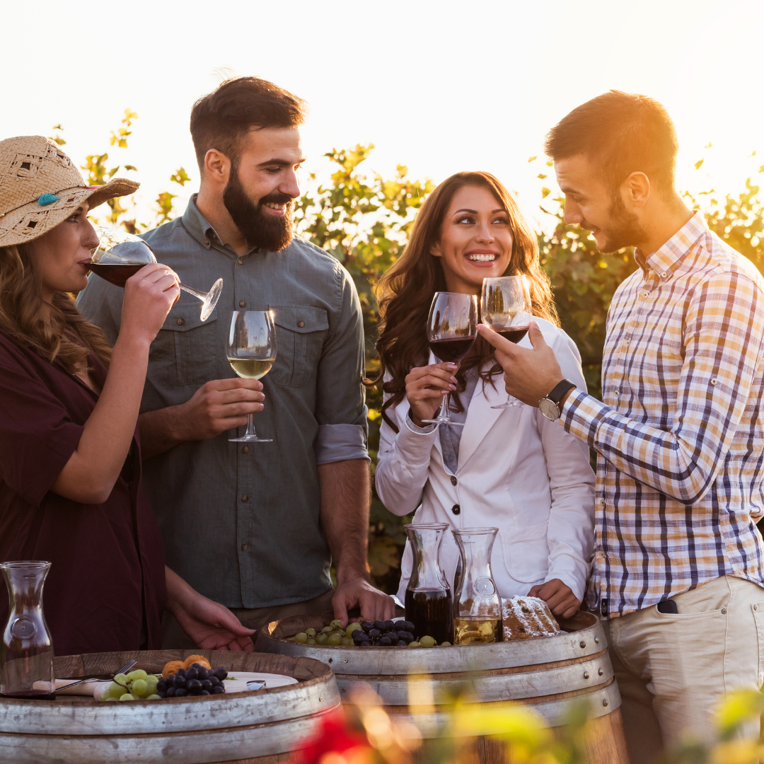 Top 7 de viñedos imperdibles en Santiago